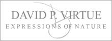 http://www.davidvirtue.com